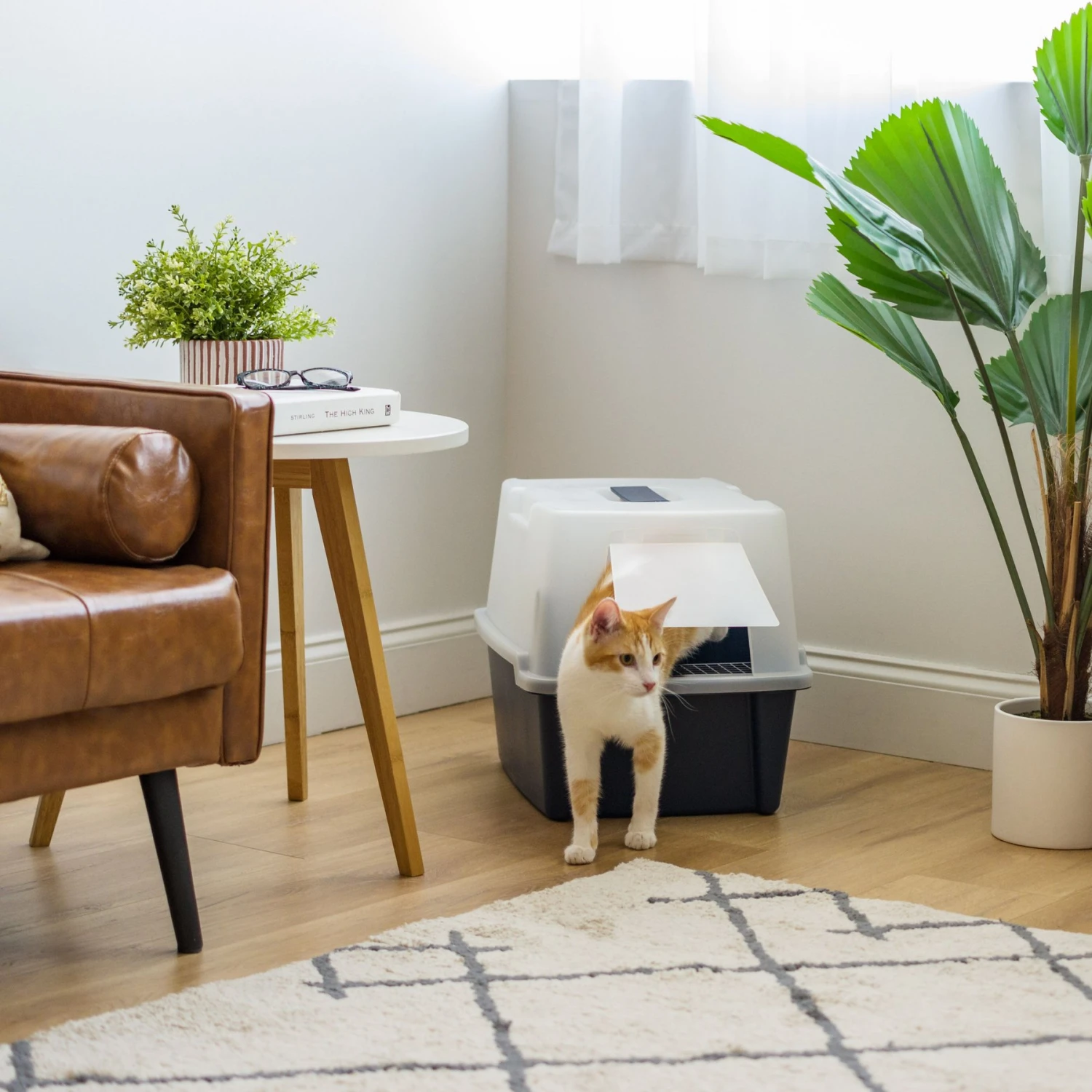 IRIS USA Enclosed With Front Door Flap & Scoop Cat Litter Box 8 IRIS USA Enclosed With Front Door Flap & Scoop Cat Litter Box - Image 6