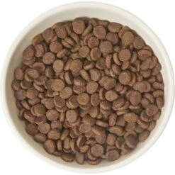 Frisco Double-Sided Ceramic Elevated Cat Bowl -Cat Pet Supplies 232081 PT3. AC SS1800 V1605145964