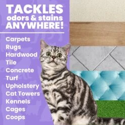 Unique Pet Care Sweet Tangerine Cat Odor + Stain Remover, 24-oz Bottle 13 Unique Pet Care Sweet Tangerine Cat Odor + Stain Remover, 24-oz Bottle -Cat Pet Supplies 232913 PT2. AC SS1800 V1700689208