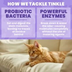 Unique Pet Care Sweet Tangerine Cat Odor + Stain Remover, 24-oz Bottle 15 Unique Pet Care Sweet Tangerine Cat Odor + Stain Remover, 24-oz Bottle -Cat Pet Supplies 232913 PT4. AC SS1800 V1700689728