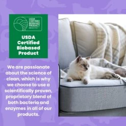 Unique Pet Care Sweet Tangerine Cat Odor + Stain Remover, 24-oz Bottle 17 Unique Pet Care Sweet Tangerine Cat Odor + Stain Remover, 24-oz Bottle -Cat Pet Supplies 232913 PT6. AC SS1800 V1700689359