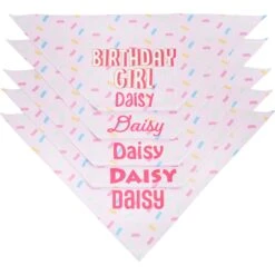 Frisco Birthday Girl Personalized Dog & Cat Bandana -Cat Pet Supplies 238333 PT4. AC SS1800 V1618507367