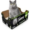 Skoon Unscented Non-Clumping Cat Litter & Disposable Litter Box
