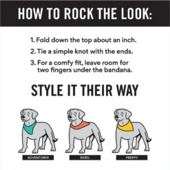 Frisco Blue Snowflakes Personalized Dog & Cat Bandana 12 Frisco Blue Snowflakes Personalized Dog & Cat Bandana -Cat Pet Supplies 242803 PT2. AC SS1800 V1618510613