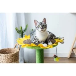 Catry Sunflower 23.2-in Sisal Cat Scratching Post With Toy -Cat Pet Supplies 244332 PT5. AC SS1800 V1595019083