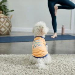 Frisco Mama's Yoga Pawtner Dog & Cat T-Shirt -Cat Pet Supplies 248966 PT7. AC SS1800 V1614201756