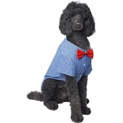 Frisco Polka Dot Chambray Dog & Cat Button Up Shirt -Cat Pet Supplies 249162 PT3. AC SS1800 V1624599756