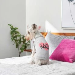 Frisco I Love Daddy Dog & Cat T-Shirt, Gray -Cat Pet Supplies 249263 PT5. AC SS1800 V1624592867