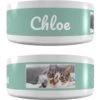 Frisco Playful Kitty Ceramic Personalized Cat Bowl, 1-cup, 8oz 1 Frisco Playful Kitty Ceramic Personalized Cat Bowl, 1-cup, 8oz -Cat Pet Supplies 250841 MAIN. AC SS1800 V1602625886