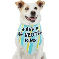 Frisco Big Brother Personalized Dog & Cat Bandana 17 Frisco Big Brother Personalized Dog & Cat Bandana -Cat Pet Supplies 254231 PT6. AC SS1800 V1633071398