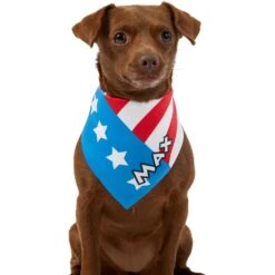 Frisco Americana Personalized Dog & Cat Bandana -Cat Pet Supplies 254239 PT6. AC SS1800 V1619558231