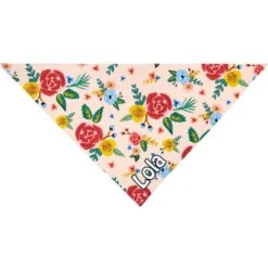 Frisco Floral Personalized Dog & Cat Bandana -Cat Pet Supplies 254255 PT3. AC SS1800 V1618511861