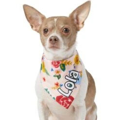 Frisco Floral Personalized Dog & Cat Bandana -Cat Pet Supplies 254255 PT6. AC SS1800 V1618507356