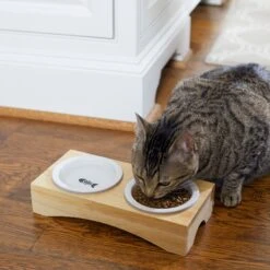 Frisco Double Elevated Cat Bowl With Wood Stand 10 Frisco Double Elevated Cat Bowl With Wood Stand -Cat Pet Supplies 256082 PT2. AC SS1800 V1615312650