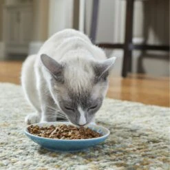 Frisco Kaleidoscope Pattern Non-skid Ceramic Cat Dish -Cat Pet Supplies 256092 PT2. AC SS1800 V1616167031