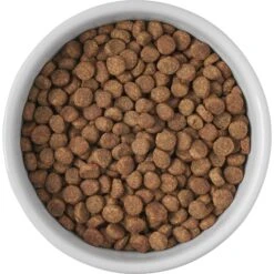 Frisco Cat Print Non-skid Elevated Ceramic Cat Bowl, Short -Cat Pet Supplies 256096 PT4. AC SS1800 V1616522576