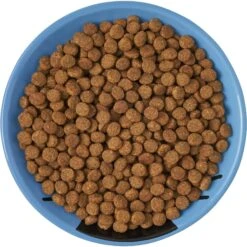 Frisco Cat Face Non-skid Ceramic Cat Dish, Blue 13 Frisco Cat Face Non-skid Ceramic Cat Dish, Blue -Cat Pet Supplies 256101 PT5. AC SS1800 V1615321282