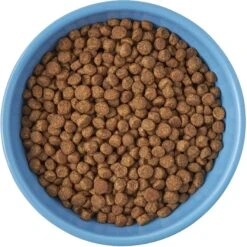Frisco Cat Face Non-skid Ceramic Cat Bowl, Blue -Cat Pet Supplies 256103 PT5. AC SS1800 V1615312900