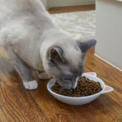 Frisco Cat Face Non-skid Ceramic Cat Dish 9 Frisco Cat Face Non-skid Ceramic Cat Dish -Cat Pet Supplies 256105 PT2. AC SS1800 V1615310882