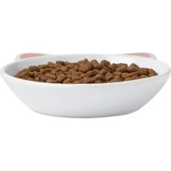 Frisco Cat Face Non-skid Ceramic Cat Dish 10 Frisco Cat Face Non-skid Ceramic Cat Dish -Cat Pet Supplies 256105 PT3. AC SS1800 V1615321286