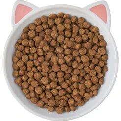 Frisco Cat Face Non-skid Ceramic Cat Dish 11 Frisco Cat Face Non-skid Ceramic Cat Dish -Cat Pet Supplies 256105 PT5. AC SS1800 V1615321295