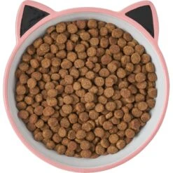 Frisco Cat Face Non-skid Ceramic Cat Bowl, Pink 11 Frisco Cat Face Non-skid Ceramic Cat Bowl, Pink -Cat Pet Supplies 256107 PT5. AC SS1800 V1616522494
