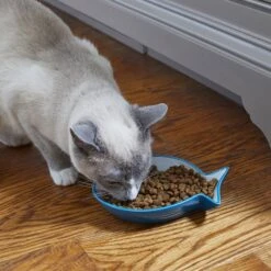 Frisco Fish Shaped Non-skid Ceramic Cat Dish 12 Frisco Fish Shaped Non-skid Ceramic Cat Dish -Cat Pet Supplies 256109 PT3. AC SS1800 V1617196297