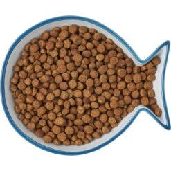 Frisco Fish Shaped Non-skid Ceramic Cat Dish 15 Frisco Fish Shaped Non-skid Ceramic Cat Dish -Cat Pet Supplies 256109 PT6. AC SS1800 V1617196895