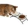 Frisco Cat Face Non-skid Elevated Double Ceramic Cat Bowl -Cat Pet Supplies 256113 MAIN. AC SS1800 V1616522219