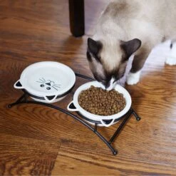 Frisco Cat Face Non-skid Elevated Double Ceramic Cat Bowl -Cat Pet Supplies 256113 PT2. AC SS1800 V1616522604
