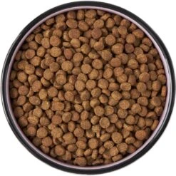 Frisco Paris Non-skid Ceramic Cat Dish 13 Frisco Paris Non-skid Ceramic Cat Dish -Cat Pet Supplies 256117 PT5. AC SS1800 V1615311392