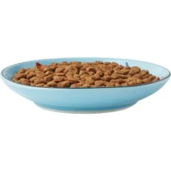 Frisco New York Non-skid Ceramic Cat Dish -Cat Pet Supplies 256119 PT5. AC SS1800 V1618494742