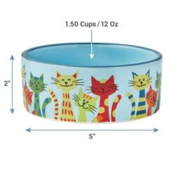 Frisco New York Non-skid Ceramic Cat Bowl 9 Frisco New York Non-skid Ceramic Cat Bowl -Cat Pet Supplies 256121 PT1. AC SS1800 V1616697088