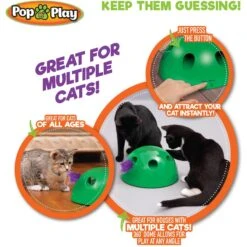 Allstar Innovations Pop N' Play Basic Cat Toy -Cat Pet Supplies 257184 PT6. AC SS1800 V1602632191
