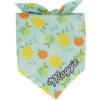 Frisco Citrus Personalized Dog & Cat Bandana -Cat Pet Supplies 258758 MAIN. AC SS1800 V1619558872