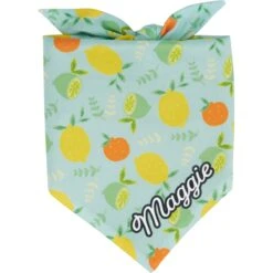 Frisco Citrus Personalized Dog & Cat Bandana