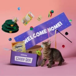 Goody Box Kitten Toys & Treats -Cat Pet Supplies 258991 PT2. AC SS1800 V1657656401