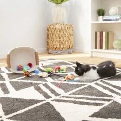 Goody Box Kitten Toys & Treats -Cat Pet Supplies 258991 PT4. AC SS1800 V1657656402