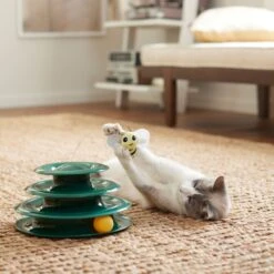 Goody Box Kitten Toys & Treats -Cat Pet Supplies 258991 PT5. AC SS1800 V1657656402