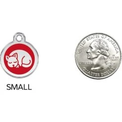 Red Dingo Kitten Personalized Stainless Steel Cat ID Tag, Small -Cat Pet Supplies 260285 PT8. AC SS1800 V1617690716