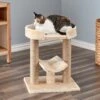 Two By Two The Laurel 21.1-in Jute Cat Scratching Post, Beige -Cat Pet Supplies 261431 MAIN. AC SS1800 V1606146415