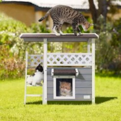 Petsfit Outdoor Cat House 11 Petsfit Outdoor Cat House -Cat Pet Supplies 261505 PT5. AC SS1800 V1605666930