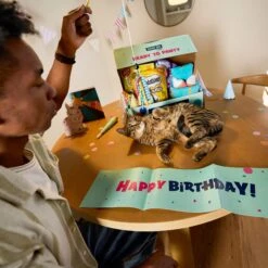 Goody Box Birthday Cat Toys, Treats & Collar -Cat Pet Supplies 264415 PT2. AC SS1800 V1678387796