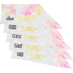 Frisco Tiedye Personalized Dog & Cat Bandana -Cat Pet Supplies 267482 PT4. AC SS1800 V1632416499