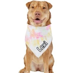 Frisco Tiedye Personalized Dog & Cat Bandana -Cat Pet Supplies 267482 PT6. AC SS1800 V1632428490