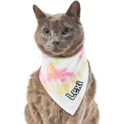 Frisco Tiedye Personalized Dog & Cat Bandana -Cat Pet Supplies 267482 PT7. AC SS1800 V1632420107