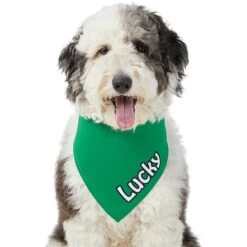 Frisco Solid Color Personalized Dog & Cat Bandana -Cat Pet Supplies 267489 PT6. AC SS1800 V1632418582