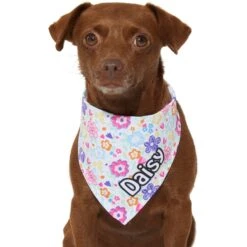 Frisco Bright Floral Personalized Dog & Cat Bandana -Cat Pet Supplies 267535 PT7. AC SS1800 V1623164573