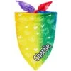 Frisco Rainbow Hearts Personalized Dog & Cat Bandana 1 Frisco Rainbow Hearts Personalized Dog & Cat Bandana -Cat Pet Supplies 267539 MAIN. AC SS1800 V1632683779