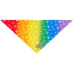 Frisco Rainbow Hearts Personalized Dog & Cat Bandana -Cat Pet Supplies 267539 PT2. AC SS1800 V1632687993